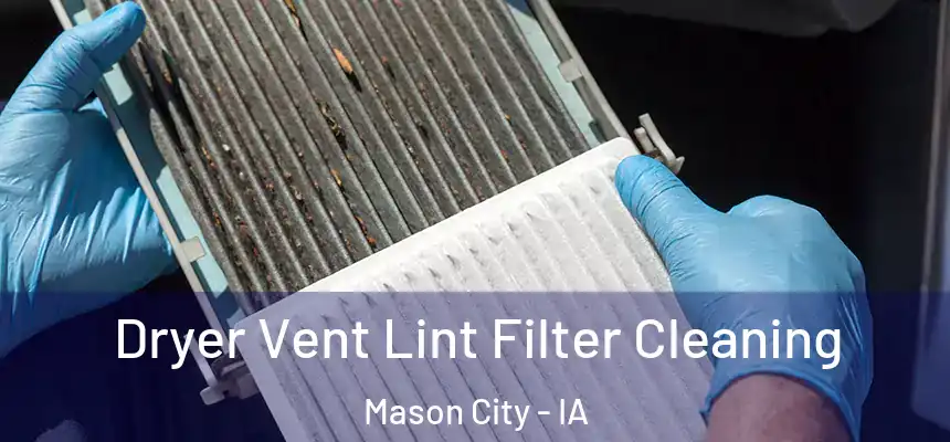  Dryer Vent Lint Filter Cleaning Mason City - IA