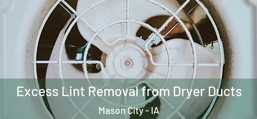  Excess Lint Removal from Dryer Ducts Mason City - IA