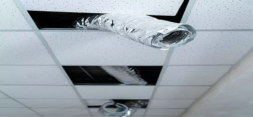 Affordable HVAC Sanitizing After Pest Removal in Mason City