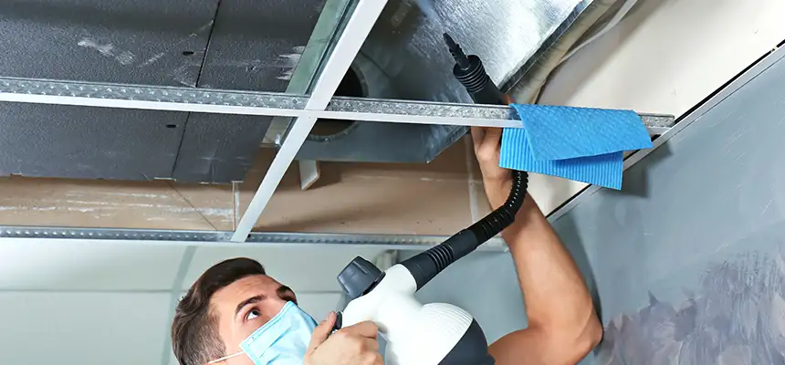 Our Air Duct Rodent Removal Services in Mason City, IA