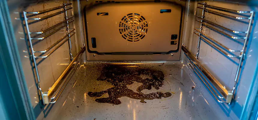 Our Dryer Vent Mold Cleaning Services in Mason City, IA