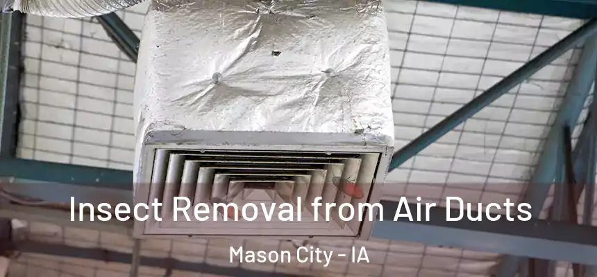  Insect Removal from Air Ducts Mason City - IA