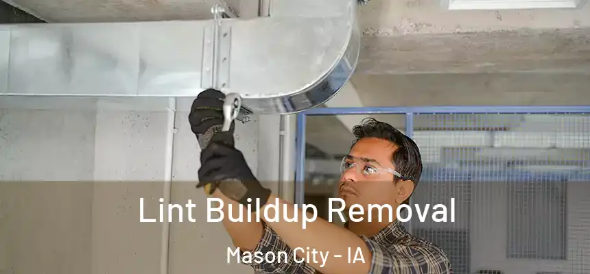  Lint Buildup Removal Mason City - IA