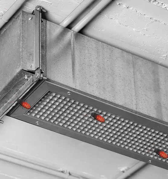 About Air Duct Cockroach Removal in Mason City, IA