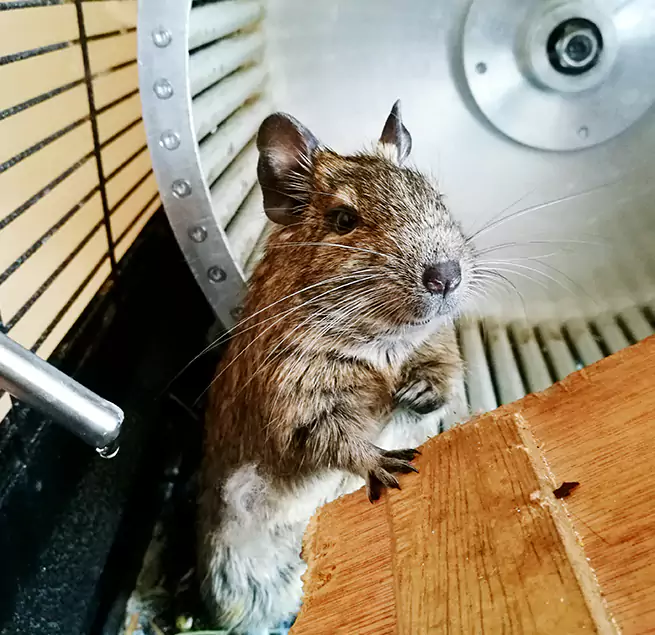 Why Homeowners & Businesses Trust Us Mason City, IA?